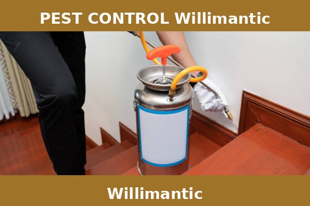PEST CONTROL Willimantic